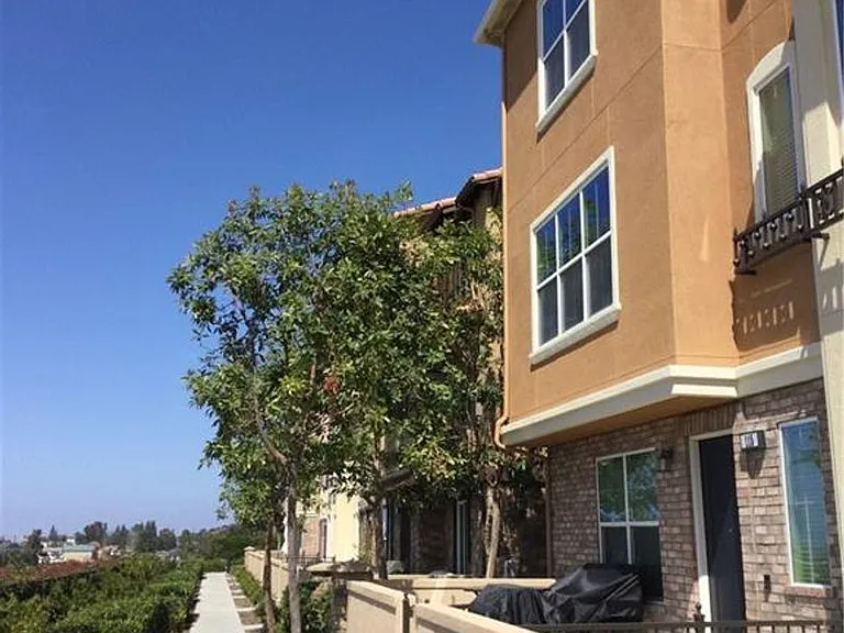 115 Aliso Ridge Loop — Photo 26