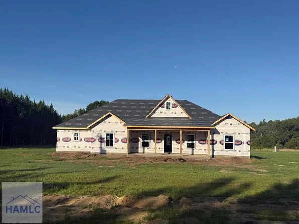 999 NE Darwell Long Rd, Ludowici, GA 31316