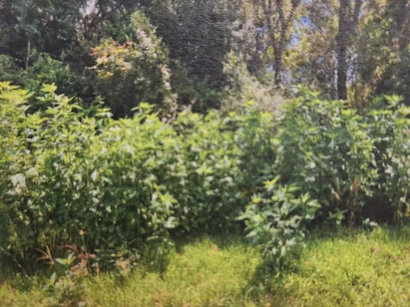 120 Alabama St, Liberty, TX 77575