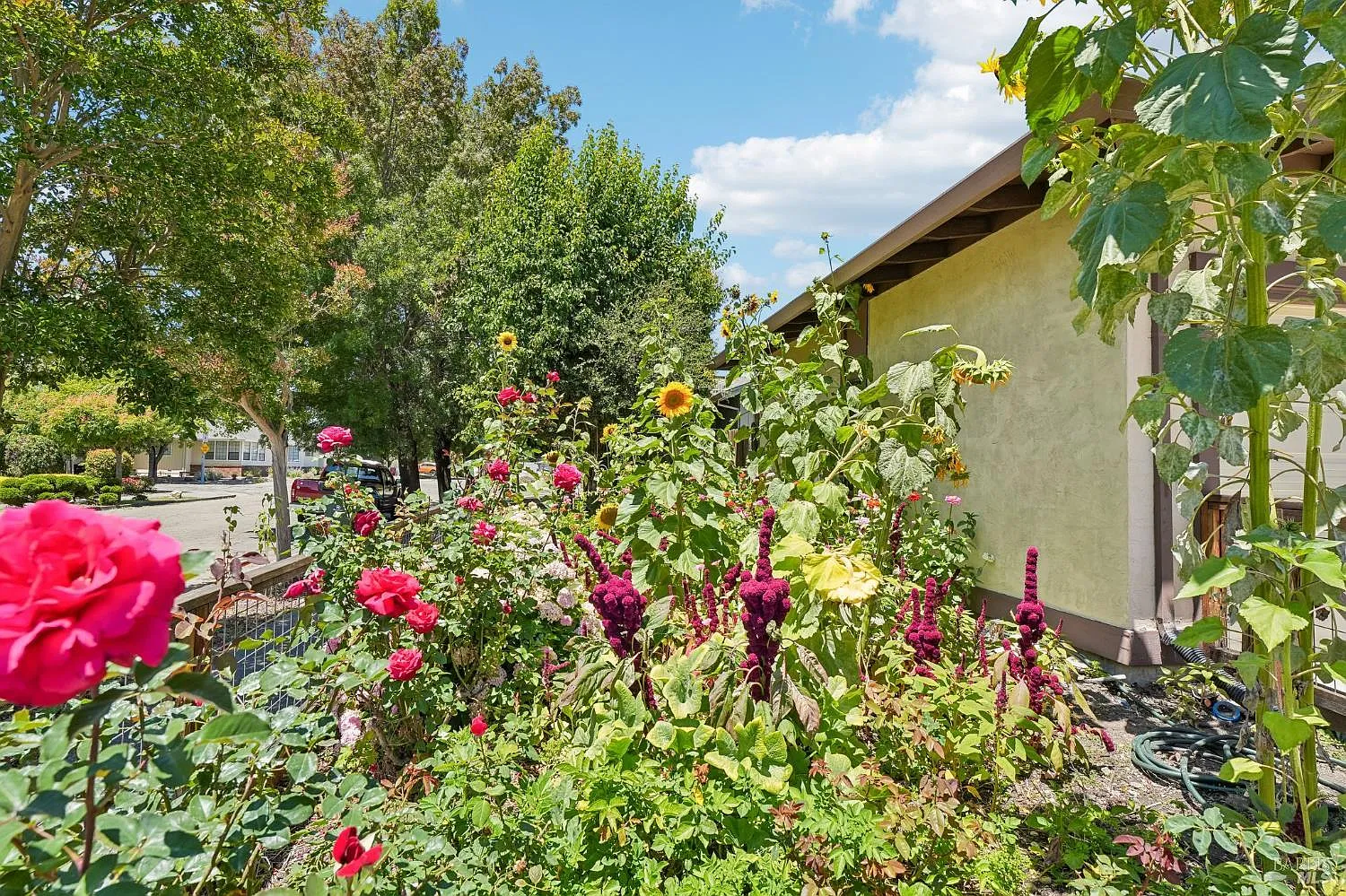 6644 Greenmeadow Drive - Photo 8