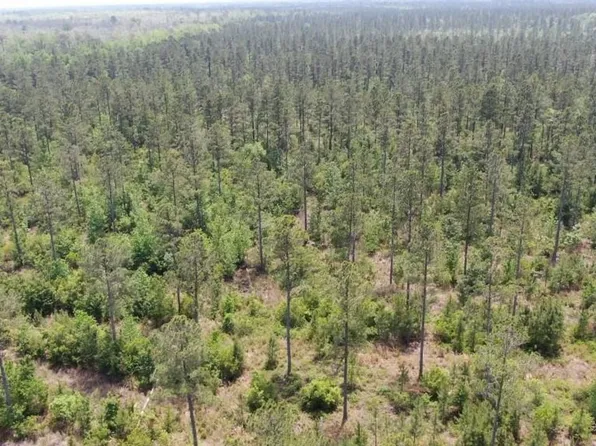 905 Highway, Longs, SC 29568