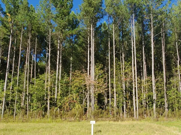 586 Anneliis Ln #64, Siler City, NC 27344