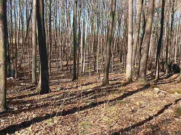 3rd image of 140 Huron Woods Dr