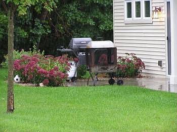 2nd image of 2414 Foxglove Cir