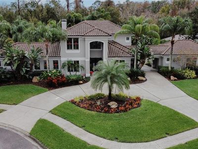 4148 Arlington Dr, Palm Harbor, FL, 34685