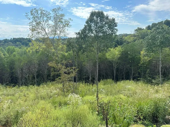 LOT 133 Red Cedar Ridge Rd, Sevierville, TN 37876