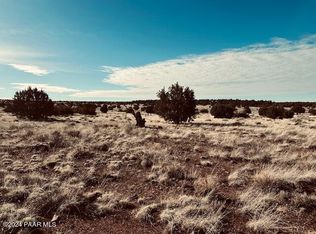 310S E Dusty Rose Rd, Seligman, AZ 86337