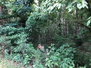 LOT 36 W Meadow Pkwy, Moravian Falls, NC 28654