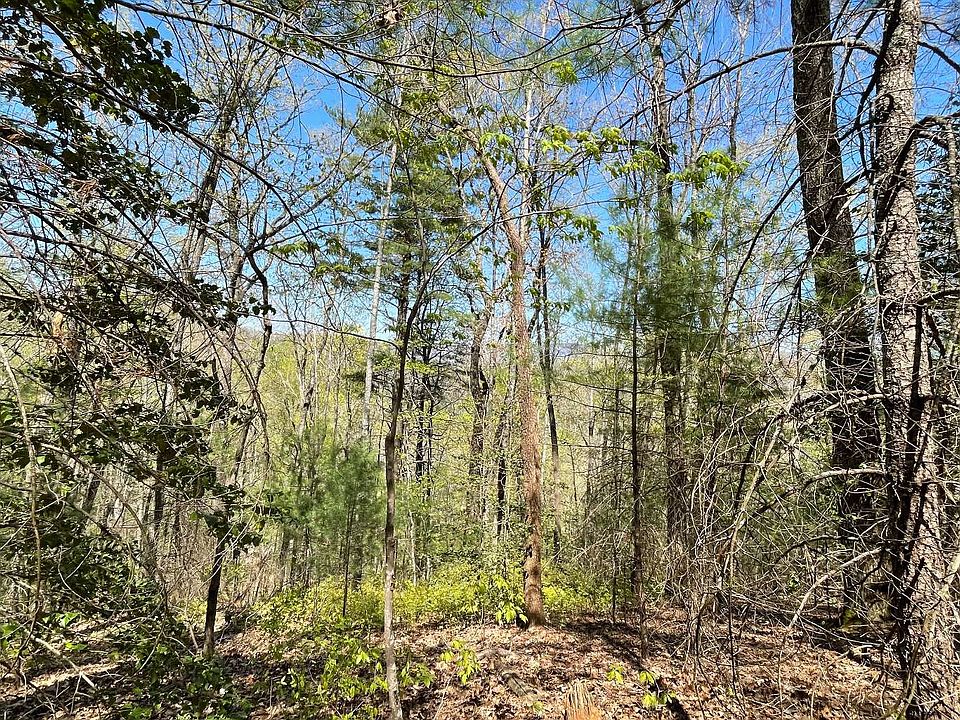LOT 5 Soapstone Creek Cir, Hiawassee, GA 30546 MLS 307763 Zillow