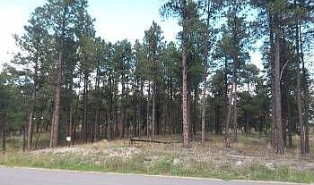 1st image of 16430 Forest Light Dr