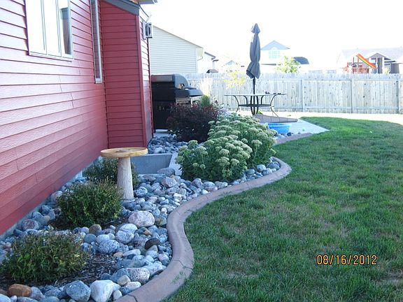 Landscaping in backyard