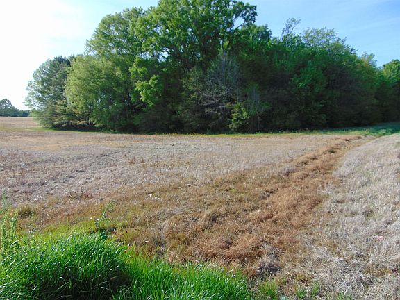 5th image of 1206 Manley Rd