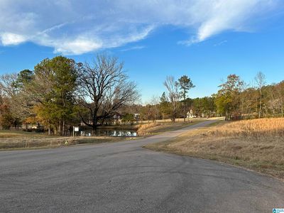 21 Buckhorn Valley Dr #21, Birmingham, AL, 35242