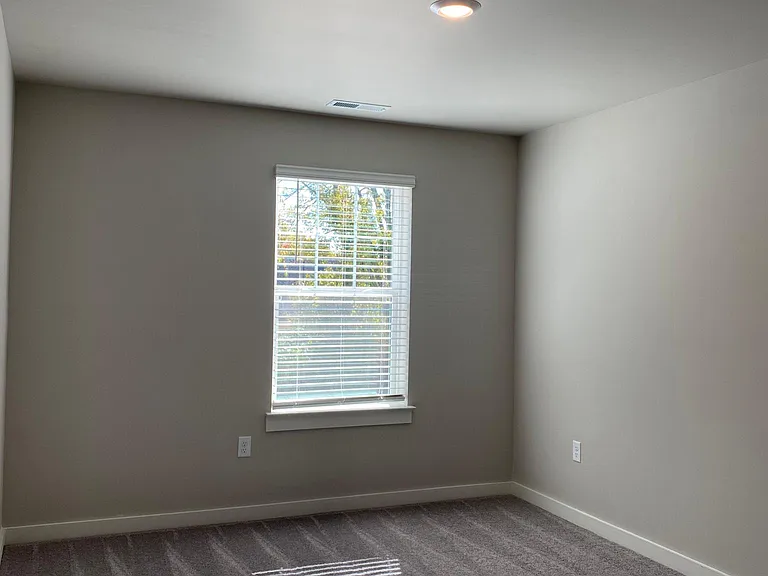 4521 Sardius Dr — Photo 23