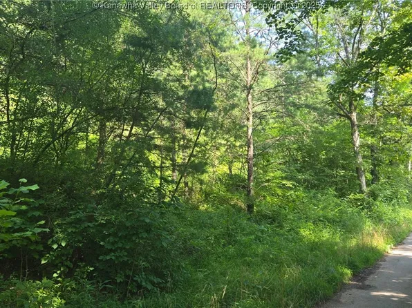 0 Walters Run Rd, Ripley, WV 25271