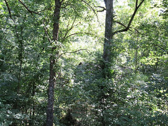 4th image of 0 Hoover Dr