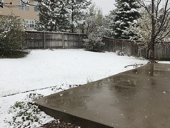 Backyard with mature trees