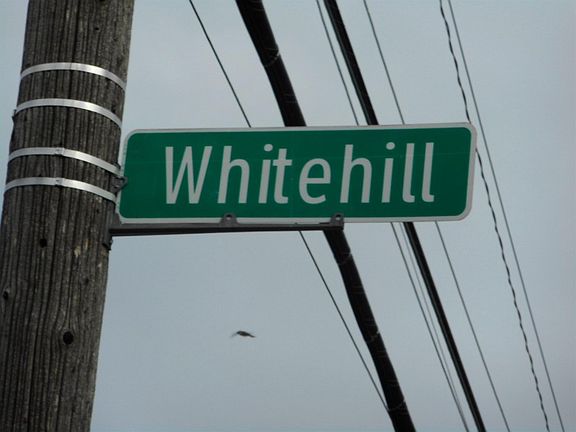 5th image of 12460 Whitehill St