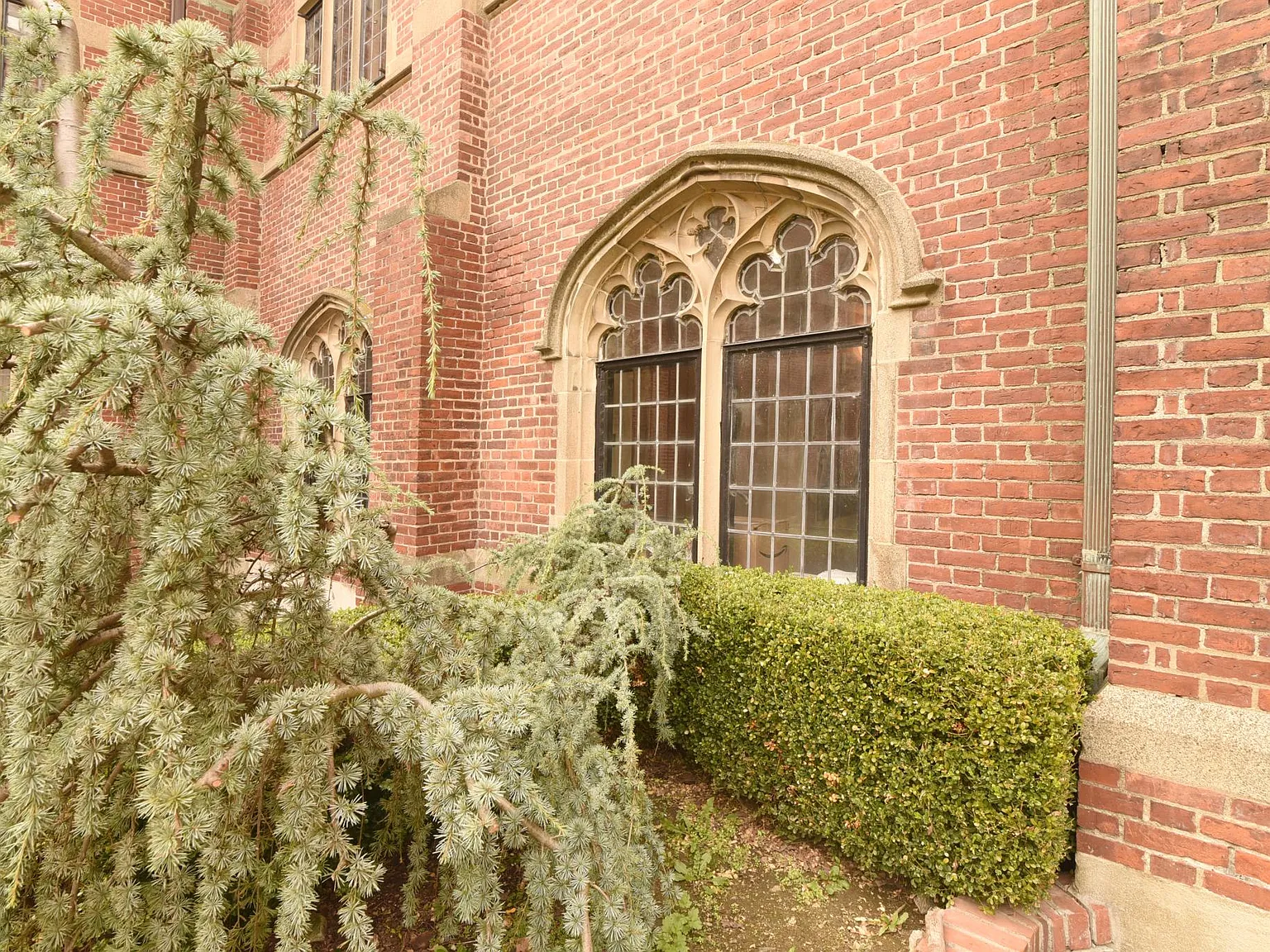 Chateau Rive — Photo 4