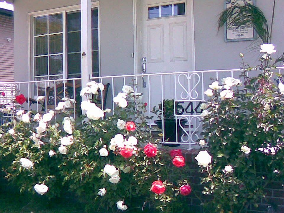 Big Shady Front Porch!
