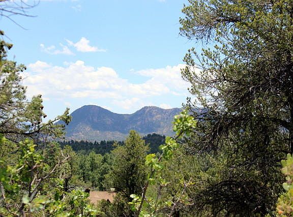 3rd image of 2505 E Scenic Dr