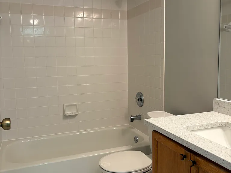 28221 Pine Haven Way #154 — Photo 7