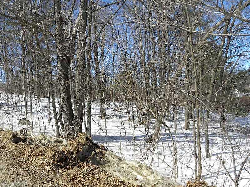 2nd image of LOT 21 Phelan Street