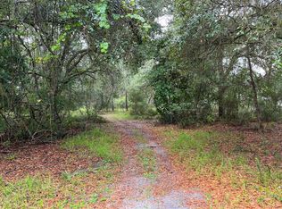 121 Hampton Cir, Georgetown, FL 32139