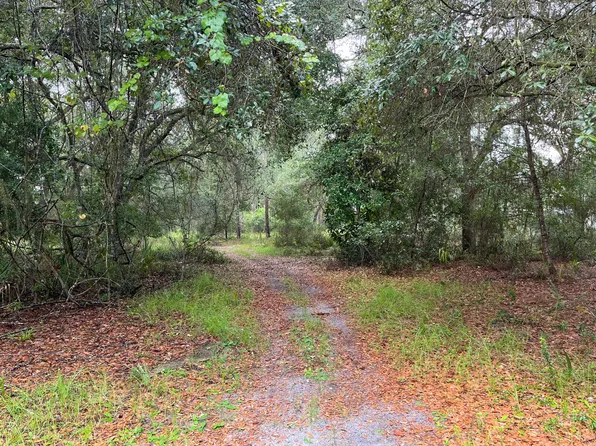 121 Hampton Drive, Georgetown, FL 32139