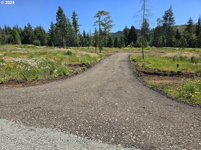 1 Blacks Dr, Cottage Grove, OR, 97424