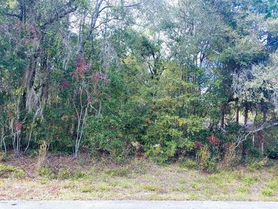 Tbd Sw 96th Loop, Dunnellon, FL, 34432