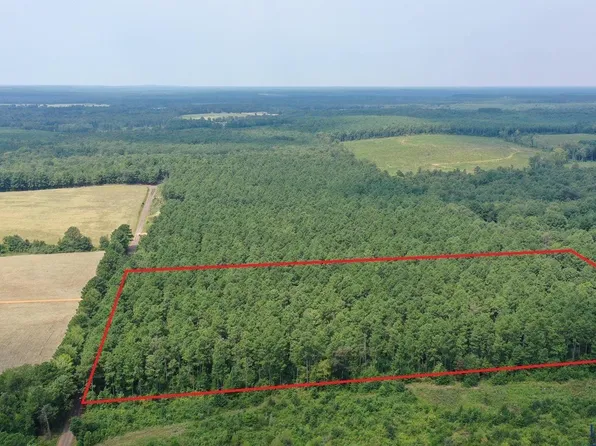 1 County Road 1459, Linden, TX 75563