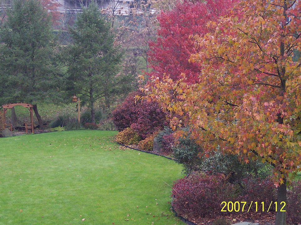 2nd image of 326 Knightsbridge Way