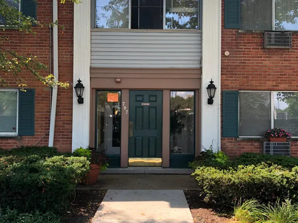707 E Falcon Dr Unit 110, Arlington Heights, IL 60005