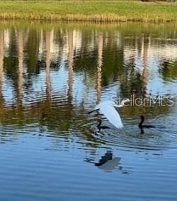 2nd image of 8733 Rain Song Rd