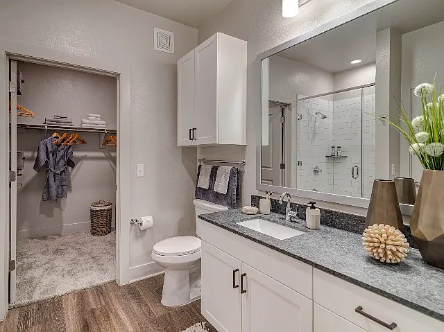 Model Apartment Home Bathroom