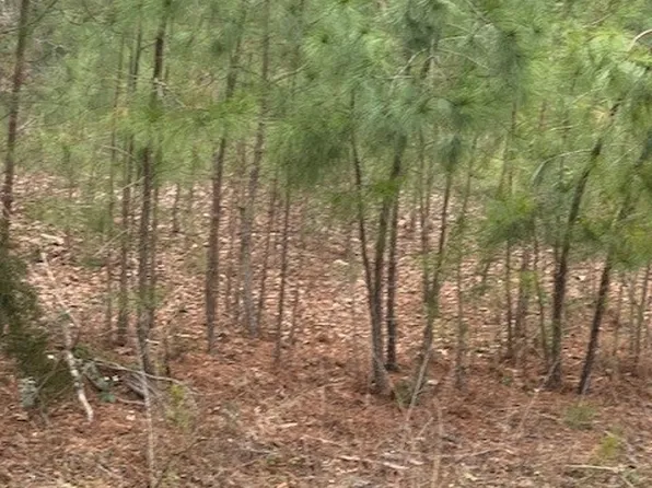 0 Loblolly Dr, Amelia Court House, VA 23002