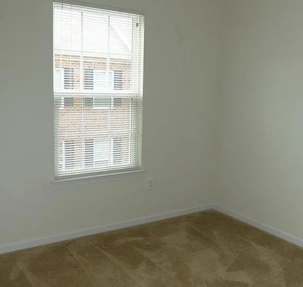 7218 Sugar Magnolia Ln — Photo 22