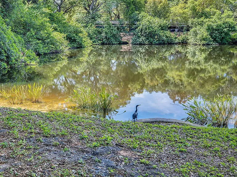 8500 Belcher Rd — Photo 39