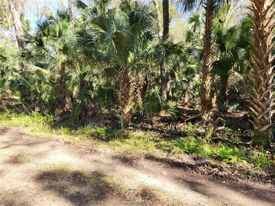 125 Branham Ln #2-C, Deltona, FL, 32738