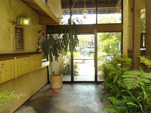 3rd image of 1203 E San Antonio Dr APT 204