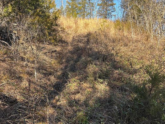 3rd image of TRACT 4 Rule Hollow Rd