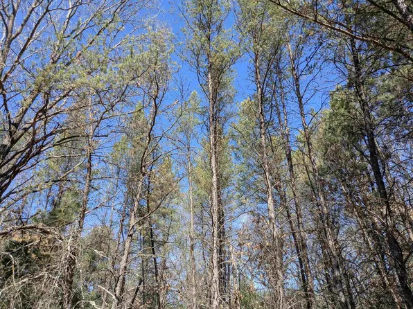 0 Fawn Drive #7, Grand Marsh, WI 53936