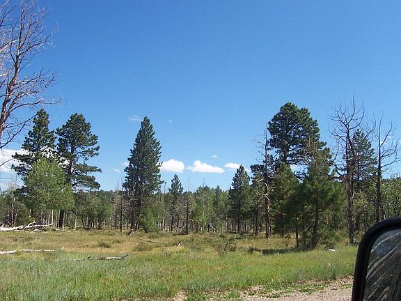 4th image of Tbd Brown Ranch Rd
