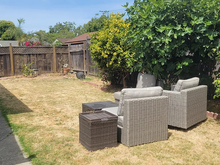 Shared back yard.