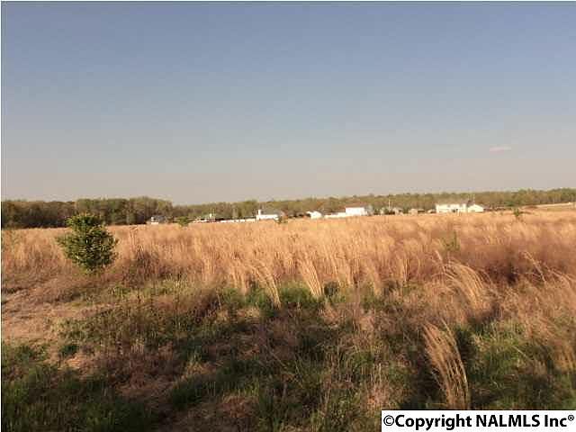 2nd image of 1659 Elkwood Section Rd