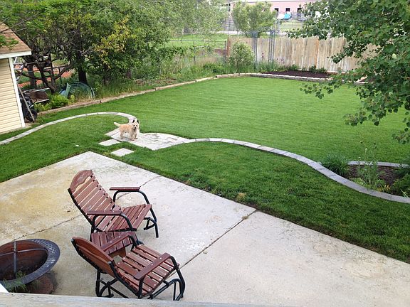 backyard and patio