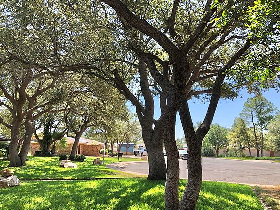 5th image of 4649 Orchid Ln