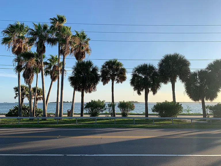 2700 Bayshore Blvd #3 — Photo 40