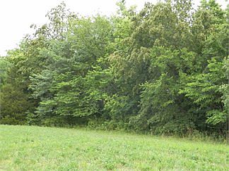 5th image of 15248 Monroe Road 923